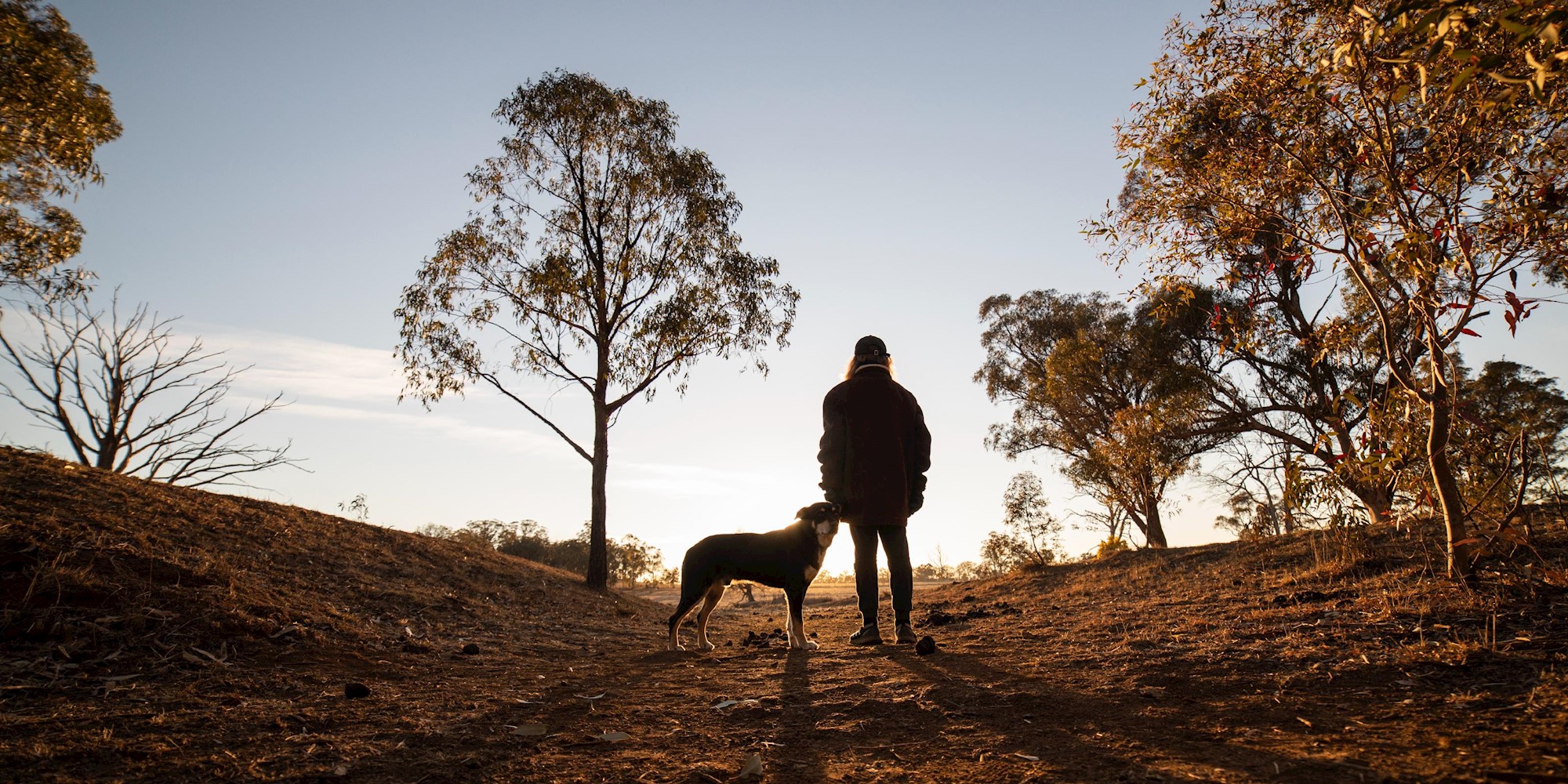 Black Hawk hero image